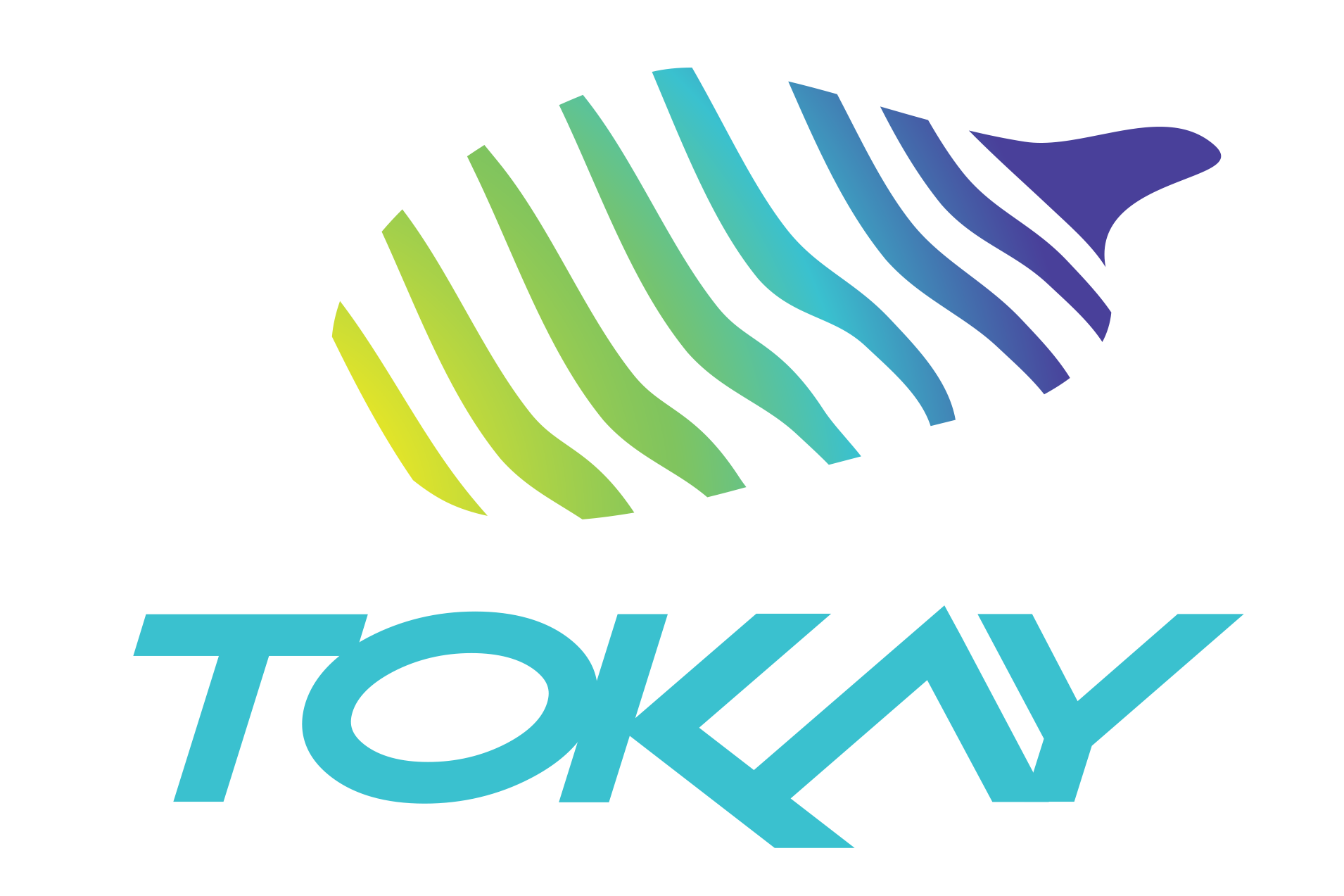Tokay Logo