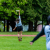 Vancouver ultimate summer programs