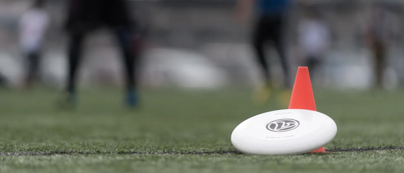 a disc on grass